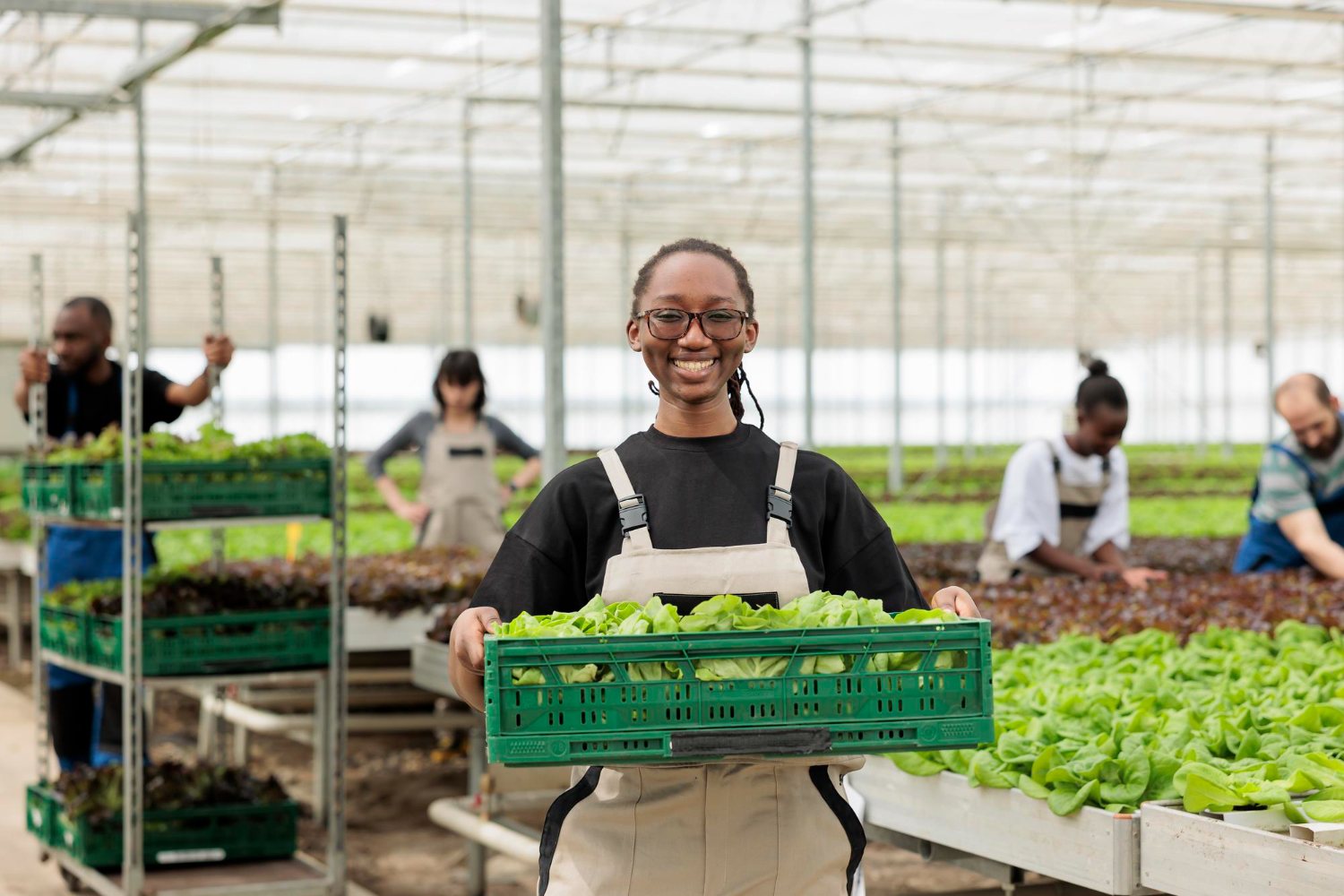 Agriculture Assistant